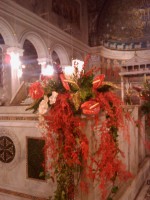 /album/galleria-foto-natale/mallorca-2010-225-jpg/